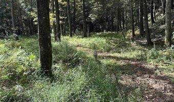 360 Ives Hill Rd, Afton, NY 13730