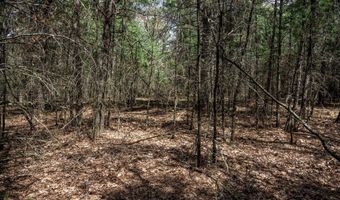 S Badger Lane lot 39, Arkdale, WI 54613