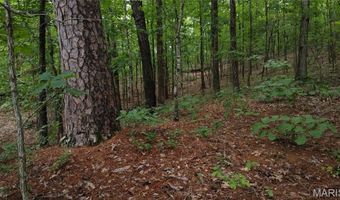 13 Hidden Vly Lks, Annapolis, MO 63620