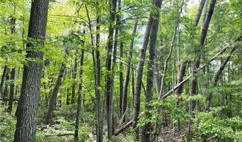 Tract 3 Lake May Drive NW, Akeley, MN 56433