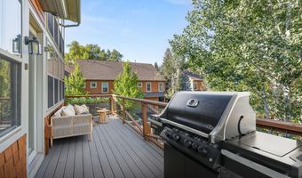 540 Evans Ct, Basalt, CO 81621