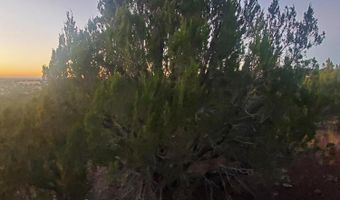 1 COUNTY ROAD N8155, Concho, AZ 85924