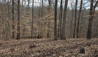 Stoneway Court lot 937, Baneberry, TN 37890