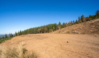 No SIte Address, Battle Ground, WA 98604