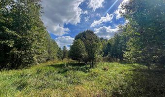 PINEPITCH Road, Harrington, DE 19952