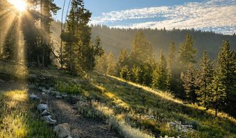 270 Theodosia Ln, Anaconda, MT 59711