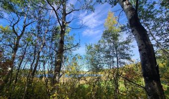 Birchwood Heights 2nd Addition lot 15, Bottineau, ND 58318