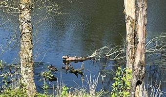 15116 NE GRANTHAM Rd, Amboy, WA 98601