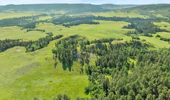 Tract 9 Lone Elk Ranch, Alva, WY 82711