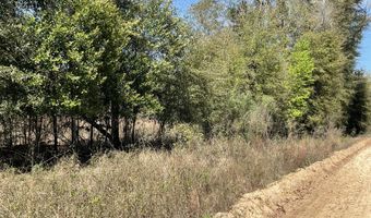 Speights Way, Bascom, FL 32423