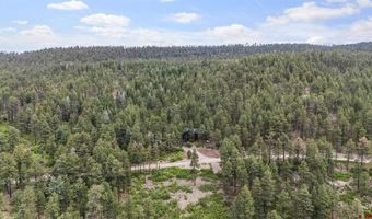 203 Hilltop Dr, Bayfield, CO 81122