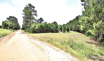 Lumby Smith Road, Adel, GA 31620