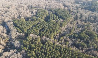 U.S. Highway 51, Bogue Chitto, MS 39629