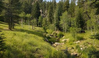 TBD County Road 59, Allenspark, CO 80510