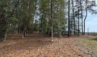 Lot 3 OCEANVIEW COURT, Accomac, VA 23301