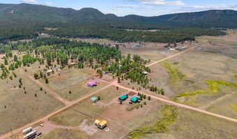 6 County Road 2099, Alpine, AZ 85920