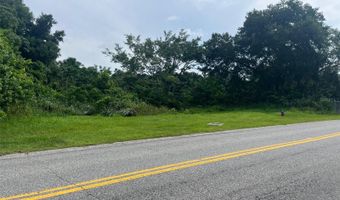E CLEVELAND STREET E, Apopka, FL 32703