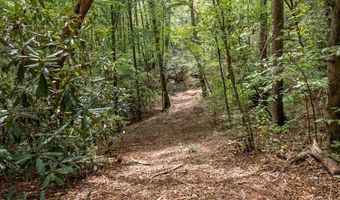 2 9 AC Chestnut Flats Rd, Andrews, NC 28901