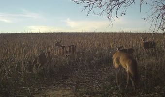 00000 CR 140, Alexander, KS 67513