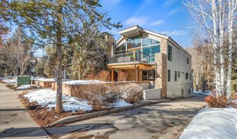 990 E Hopkins Ave, Aspen, CO 81611