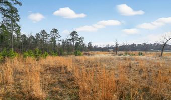 868 County Road 2920, Alba, TX 75410