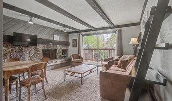 107 N Harris St 209, Breckenridge, CO 80424