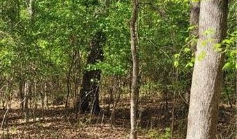 1642 R2 Kersey Valley Rd, Archdale, NC 27265
