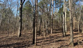Cr 127, Abbeville, MS 38601