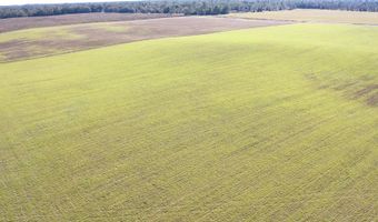 72 Nw Pl, Bell, FL 32619