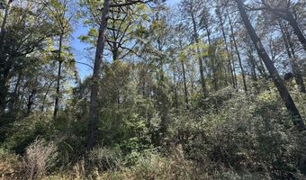 Parcel B Holloway Road, Baker, FL 32531