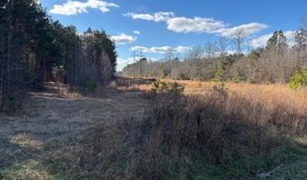 LOT 4B MOLLYFIELD ROAD, Dagsboro, DE 19939