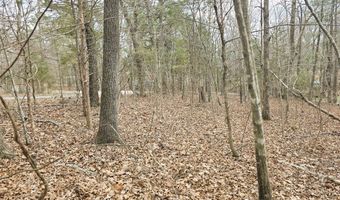 Ramblingwood Dr, Big Sandy, TN 38221