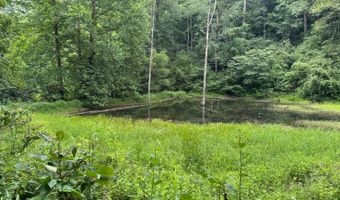 37928 Buck Run Rd, Albany, OH 45710