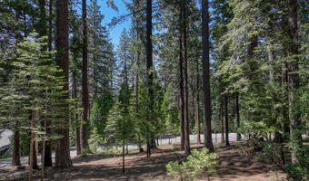 1934 Almaden Dr, Arnold, CA 95223