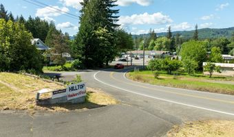39618 NE 216TH Ave, Amboy, WA 98601