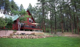954 Pine Tree Dr, Bayfield, CO 81122