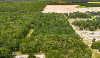 0 NW 40th Ave, Bell, FL 32619