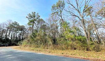 SANDPIPER LANE lot 23, Atlantic, VA 23303