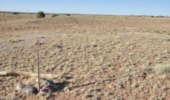 986 Concho Hwy, Concho, AZ 85924