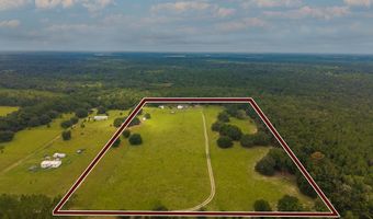 2889 67th Ct, Bell, FL 32619