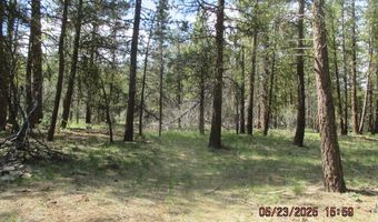 Golden Eagle Drive 5, Bonanza, OR 97623