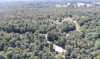 951 E County Road 206, Alton, MO 65606