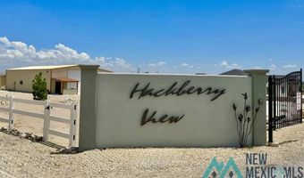 102 Doporto Ct, Carlsbad, NM 88220