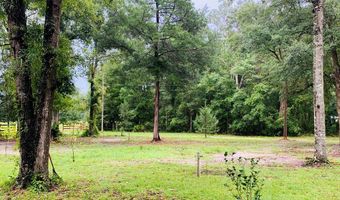 4969 32nd Pl, Bell, FL 32619