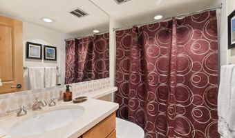 124 W Hyman Ave 3B, Aspen, CO 81611