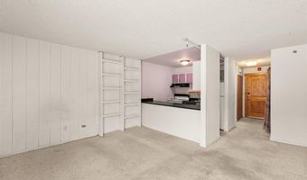 110 S Park Ave 106, Breckenridge, CO 80424