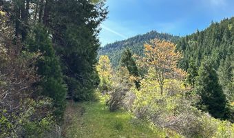 Buckhorn Springs Rd, Ashland, OR 97520