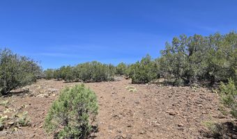 9938 W Gleed Station Rd, Ash Fork, AZ 86320