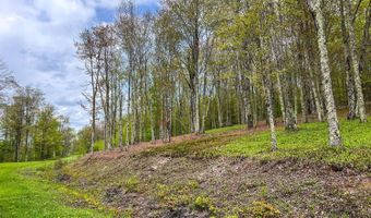 State Highway 28, Andes, NY 13731