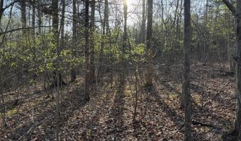Old Courthouse Road, Appomattox, VA 24522